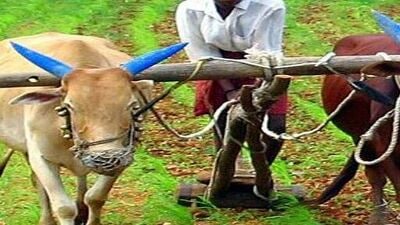 <p>రైతు భరోసా స్కీమ్ ద్వారా అర్హులైన అన్నదాతలకు ఏడాదికి రూ. 12వేల సాయం అందిస్తారు. ఒక విడతలో రూ. 6 వేలు, మరో విడుతలో రూ. 6 వేలు జమ చేస్తారు. ఇప్పటికే క్షేత్రస్థాయి సర్వే చేసిన ప్రభుత్వం… సాగు చేసే, వ్యవసాయ యోగత్య ఉన్న భూములకే రైతు భరోసా అందిస్తుంది.</p> 