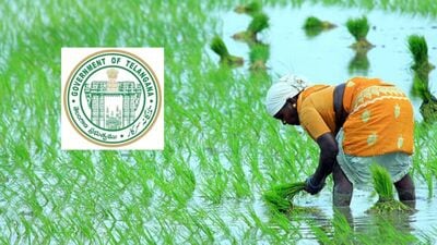 <p>వానాకాలం సీజన్ రావటంతో రైతన్నలు ఇప్పటికే సాగు పనుల్లో నిమగ్నమవుతున్నారు. సాగుబాటు చేస్తూ… విత్తనాలు నాటుతున్నారు. ఈ నేపథ్యంలో పంటపెట్టుబడి సాయం కోసం ఎదురుచూస్తున్నారు. అయితే ప్రభుత్వం ఈసారి ముందుగానే నిధులను జమ చేయాలని ప్రాథమికంగా నిర్ణయించింది. </p> (image source unsplash) <p>వానాకాలం సీజన్ రావటంతో రైతన్నలు ఇప్పటికే సాగు పనుల్లో నిమగ్నమవుతున్నారు. సాగుబాటు చేస్తూ… విత్తనాలు నాటుతున్నారు. ఈ నేపథ్యంలో పంటపెట్టుబడి సాయం కోసం ఎదురుచూస్తున్నారు. అయితే ప్రభుత్వం ఈసారి ముందుగానే నిధులను జమ చేయాలని ప్రాథమికంగా నిర్ణయించింది. </p> (image source unsplash)
