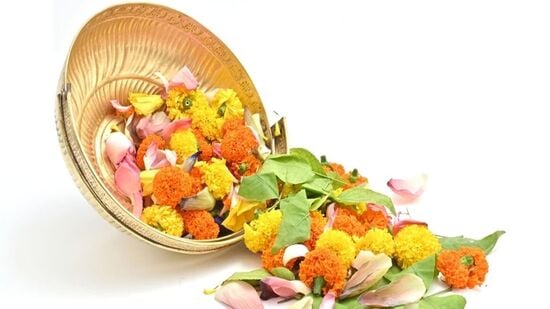 ఎండిన పువ్వులను తొలగించండి: పూజగదిలో ఎండిన లేదా పాతబడిన పువ్వులను ఉంచవద్దు. వాస్తు ప్రకారం, ఇవి లక్ష్మీ దేవికి ఆగ్రహం కలిగిస్తాయి. ఇంట్లోకి పేదరికాన్ని తెస్తాయి. ప్రతిరోజూ తాజా పువ్వులను సమర్పించండి. ఎండిన పువ్వులను వెంటనే తీయండి.