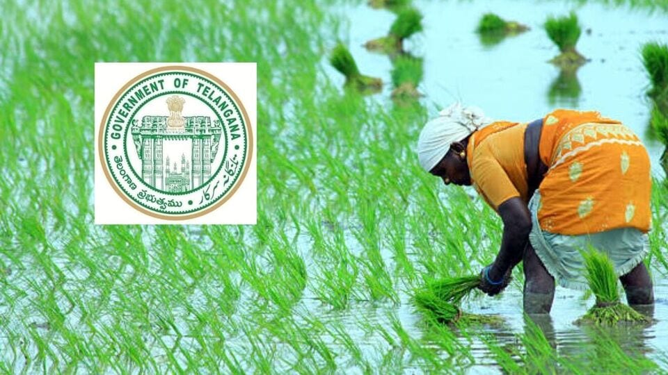 <p>కొత్తగా అప్లికేషన్ చేసుకునేవాళ్లు పట్టాదారు పాసుపుస్తకం, ఆధార్ కార్డు జిరాక్స్, బ్యాంక్ అకౌంట్ వివరాలను తప్పనిసరిగా ఇవ్వాలి. వ్యవసాయశాఖ రూపొందించిన అప్లికేషన్ ఫారమ్ నింపి… మండలంలోని వ్యవసాయ అధికారులకు(వ్యవసాయ విస్తరణ అధికారికి ) అందజేయాల్సి ఉంటుంది.</p>(image source unsplash.com)