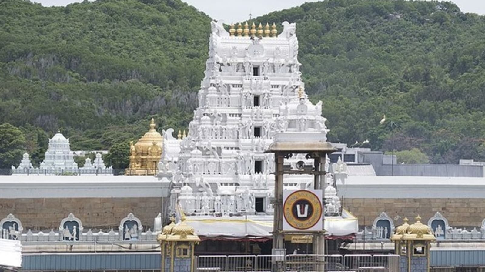 శుక్రవారాల్లో రికార్డు స్థాయిలో తిరుమల శ్రీవారి దర్శనాలు - లెక్కలివే