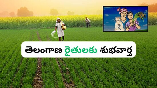 రైతు భరోసా స్కీమ్ నిధుల విడుదలకు తెలంగాణ సర్కార్ సిద్ధమైంది. వానాకాలం సీజన్ కు సంబంధించిన పంట పెట్టుబడి సాయాన్ని ఈసారి ముందుగానే ఇవ్వనుంది. ఈ మేరకు వ్యవసాయ శాఖ కార్యాచరణను సిద్ధం చేసింది.