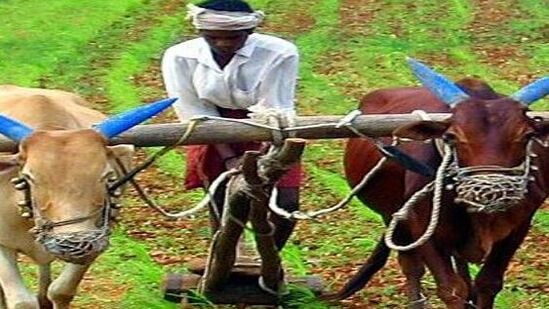 వానాకాలం సీజన్ రావటంతో రైతన్నలు ఇప్పటికే సాగు పనుల్లో నిమగ్నమవుతున్నారు. సాగుబాటు చేస్తూ… విత్తనాలు నాటుతున్నారు. ఈ నేపథ్యంలో పంటపెట్టుబడి సాయం కోసం ఎదురుచూస్తున్నారు. అయితే ప్రభుత్వం ఈసారి ముందుగానే నిధులను జమ చేయాలని నిర్ణయించింది.