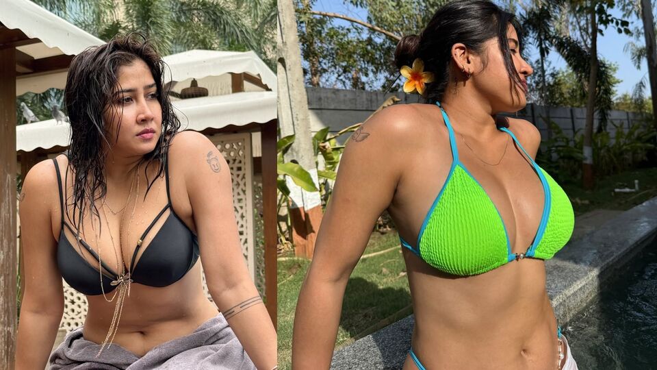 <p>తాజాగా స్విమ్మింగ్ పూల్‌లో దిగిన ఫొటోలను తన ఇన్‌స్టాగ్రామ్ అకౌంట్‌లో షేర్ చేసింది బ్యూటిఫుల్ సోఫియా అన్సారీ. బ్లాక్, గ్రీన్ కలర్ బికినీలో హాట్‌గా అందాలు ఆరబోసింది సోఫియా అన్సారీ.<br> </p>(Instagram/Sofia Ansari)