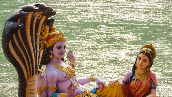 చేయకూడని పనులు : అన్నం, మాంసాహారం అస్సలు తినకండి, ఇది సద్గుణాలను నాశనం చేస్తుంది. ఎవరితోనూ గొడవ పడకండి. మీ మనస్సులో చెడు ఆలోచనలను ఉంచుకోకండి. నల్లని దుస్తులు ధరించడం మానుకోండి. తులసి ఆకులను కోయడం లేదా వాటికి నీరు పెట్టడం నిషిద్ధం. ఏకాదశి రోజున చెడు అలవాటు లేదా చర్యలకు దూరంగా ఉండండి.