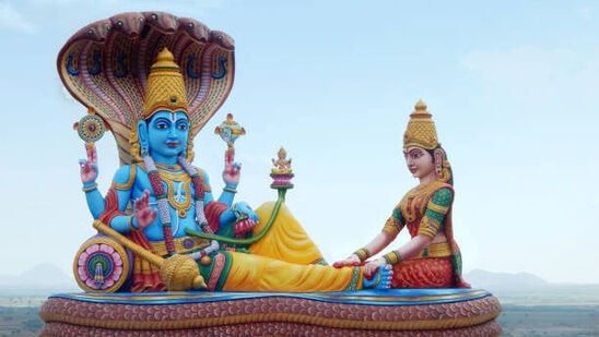 చేయాల్సినవి : ఉదయాన్నే నిద్రలేచి, స్నానం చేసి, సూర్యుడికి నీళ్ళు అర్పించండి. విష్ణువును స్మరించి, ఏకాదశి ఉపవాసం ఉంటామని ప్రతిజ్ఞ చేయండి. ఆలయంలో విష్ణువు, లక్ష్మీ ముందు దేశీ నెయ్యితో దీపం వెలిగించండి. దేవునికి పండ్లు, పువ్వులు, సాత్విక ఆహారాన్ని సమర్పించండి. మంత్రాలను పఠించండి. యోగిని ఏకాదశి వ్రత కథ చదవండి. పూజ తర్వాత, హారతి ఇచ్చి, ప్రసాదం పంచండి. తులసిని పూజించండి, కానీ తులసిపై నీరు పోయడం లేదా తాకడం మానుకోండి. దూరం నుండి తులసి మొక్క చుట్టూ ప్రదక్షిణ చేసి దీపం వెలిగించండి.