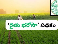 <p>పంట పెట్టుబడి సాయం కోసం తెలంగాణ ప్రభుత్వం రైతు భరోసా స్కీమ్ ను తీసుకువచ్చిన సంగతి తెలిసిందే. ప్రస్తుతం వానాకాలం సీజన్ రావటంతో… ఈ స్కీమ్ కింద ఇచ్చే డబ్బులను ప్రభుత్వం విడుదల చేసింది. </p>