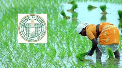 <p>05-06-2025 లోపు భూ భారతి పోర్టల్ లో కొత్తగా నమోదైన రైతులు కూడా… రైతు భరోసాకి దరఖాస్తు చేసుకోవచ్చని వ్యవసాయశాఖ తెలిపింది. అయితే వీరంతా జూన్ 20వ తేదీలోపు దరఖాస్తు చేసుకోవాలని స్పష్టం చేసింది. </p> (image source unsplash) <p>05-06-2025 లోపు భూ భారతి పోర్టల్ లో కొత్తగా నమోదైన రైతులు కూడా… రైతు భరోసాకి దరఖాస్తు చేసుకోవచ్చని వ్యవసాయశాఖ తెలిపింది. అయితే వీరంతా జూన్ 20వ తేదీలోపు దరఖాస్తు చేసుకోవాలని స్పష్టం చేసింది. </p> (image source unsplash)