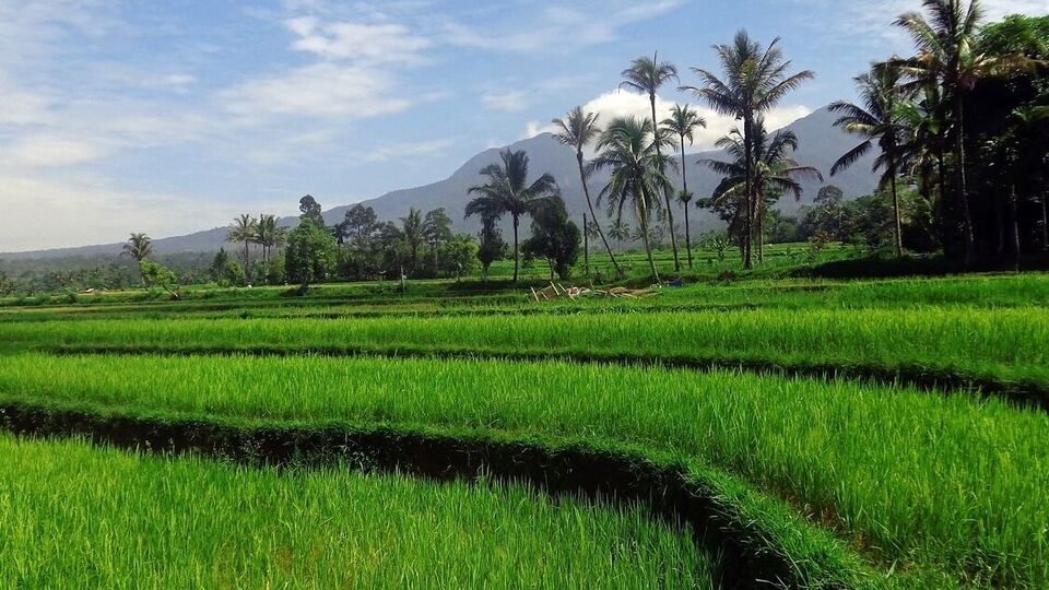 <p>రైతు భరోసా స్కీమ్ ద్వారా అర్హులైన అన్నదాతలకు ఏడాదికి రూ. 12వేల సాయం అందిస్తారు. ఒక విడతలో రూ. 6 వేలు, మరో విడుతలో రూ. 6 వేలు జమ చేస్తారు. ఇప్పటికే క్షేత్రస్థాయి సర్వే చేసిన ప్రభుత్వం… సాగు చేసే, వ్యవసాయ యోగత్య ఉన్న భూములకే రైతు భరోసా అందిస్తుంది.</p>