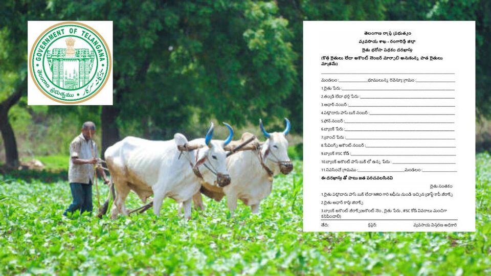 <p>కొత్త దరఖాస్తుదారులు…. పట్టాదారు పాసుపుస్తకం, ఆధార్ కార్డు జిరాక్స్, బ్యాంక్ అకౌంట్ వివరాలను తప్పనిసరిగా ఇవ్వాలి. వ్యవసాయశాఖ రూపొందించిన అప్లికేషన్ ఫారమ్ నింపి… మండలంలోని వ్యవసాయ అధికారులకు(వ్యవసాయ విస్తరణ అధికారికి ) అందజేయాల్సి ఉంటుంది. జూన్ 20లోపే ఈ ప్రక్రియను పూర్తి చేసుకోవాలి. </p>(image source .istockphoto.com)