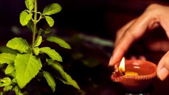 తులసి పూజ: యోగిని ఏకాదశి రోజున తులసి మాతను పూజించండి. ఇలా చేయడం వల్ల శ్రీ విష్ణువు, లక్ష్మీదేవి అనుగ్రహం లభిస్తుంది. ఈ రోజు సాయంత్రం తులసి మొక్క దగ్గర దీపం వెలిగించండి.