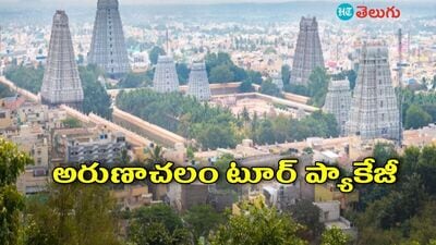 <p>మొత్తం 4 రోజుల పాటు ఈ పర్యటన సాగుతోంది.హైదరాబాద్ నుంచి రోడ్డు మార్గం ద్వారా అరుణాచలం వెళ్తారు. నెలలో ఒక్కసారి మాత్రమే ఈ ప్యాకేజీ ఆపరేట్ చేస్తారు. ప్రస్తుతం ఈ ప్యాకేజీ 8 జూలై 2025 వ తేదీన అందుబాటులో ఉంది. </p> <p>మొత్తం 4 రోజుల పాటు ఈ పర్యటన సాగుతోంది.హైదరాబాద్ నుంచి రోడ్డు మార్గం ద్వారా అరుణాచలం వెళ్తారు. నెలలో ఒక్కసారి మాత్రమే ఈ ప్యాకేజీ ఆపరేట్ చేస్తారు. ప్రస్తుతం ఈ ప్యాకేజీ 8 జూలై 2025 వ తేదీన అందుబాటులో ఉంది. </p>