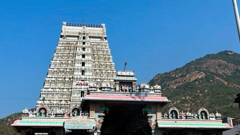 <p>జూలై 8వ తేదీన మిస్ అయితే మళ్లీ మరో తేదీలో ప్లాన్ చేసుకోవచ్చు. అందుకు అనుగుణంగా టికెట్లను ముందుగానే బుకింగ్ చేసుకోవచ్చు. <a href="https://tourism.telangana.gov.in/tours" target="_blank">https://tourism.telangana.gov.in/tours</a> వెబ్ సైట్ లోకి వెళ్లి అప్డేట్ తెలుసుకోవచ్చు. </p>