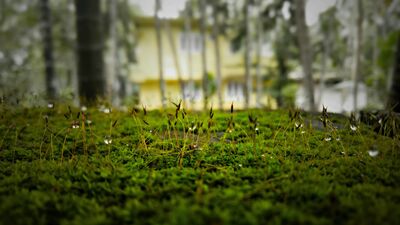 <p>ఐఆర్సీటీసీ టూరిజం. 'KERALA HILLS & WATERS ' పేరుతో ఈ ప్యాకేజీ ఆపరేట్ చేస్తోంది. <a href="https://www.irctctourism.com/t" target="_blank"><strong>IRCTC టూరిజం వెబ్ సైట్</strong></a> లోకి వెళ్లి ప్యాకేజీని బుకింగ్ చేసుకోవాల్సి ఉంటుంది. హైదరాబాద్ నుంచి ట్రైన్ లో వెళ్లాల్సి ఉంటుంది. ప్రస్తుత తేదీ మిస్ అయితే మరో తేదీలో ప్లాన్ చేసుకోవచ్చు.</p> <p>ఐఆర్సీటీసీ టూరిజం. 'KERALA HILLS & WATERS ' పేరుతో ఈ ప్యాకేజీ ఆపరేట్ చేస్తోంది. <a href="https://www.irctctourism.com/t" target="_blank"><strong>IRCTC టూరిజం వెబ్ సైట్</strong></a> లోకి వెళ్లి ప్యాకేజీని బుకింగ్ చేసుకోవాల్సి ఉంటుంది. హైదరాబాద్ నుంచి ట్రైన్ లో వెళ్లాల్సి ఉంటుంది. ప్రస్తుత తేదీ మిస్ అయితే మరో తేదీలో ప్లాన్ చేసుకోవచ్చు.</p>
