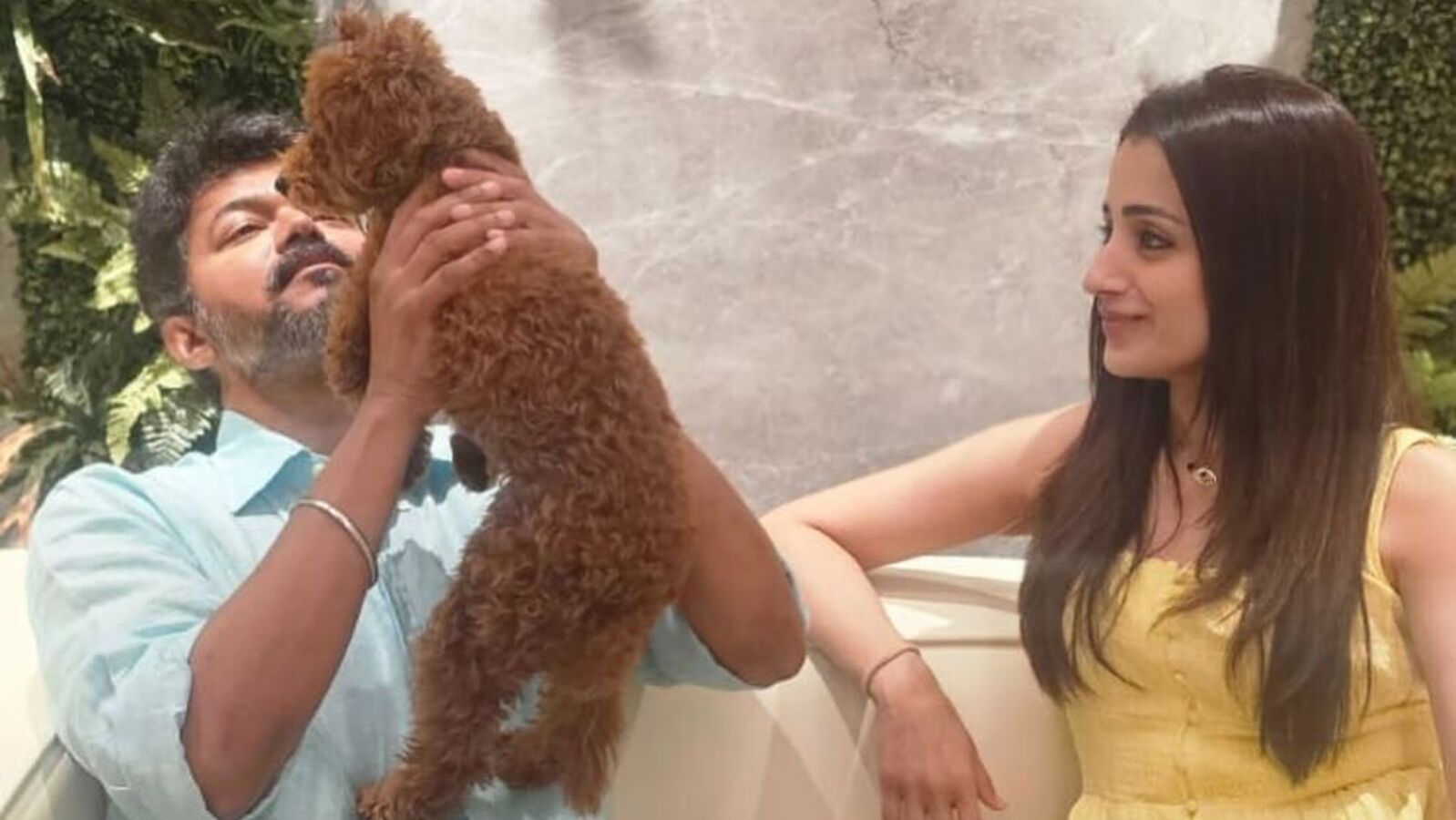 త్రిష, విజయ్ డేటింగ్ కన్ఫమేనా? బర్త్‌డే పోస్ట్‌తో మరోసారి చర్చ.. త్రిష తల్లి కూడానా అంటూ ఫ్యాన్స్ కామెంట్స్