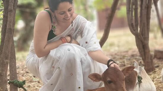 అనసూయ ఓ హనుమంతుడి గుడికి వెళ్లినట్లు ఫొటోలు చూస్తే తెలుస్తోంది.