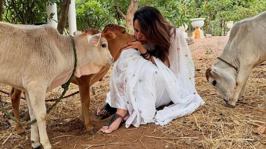 గుడి దగ్గర ఉన్న ఆవులతో ఆమె ఇలా ఆప్యాయంగా కనిపించింది.