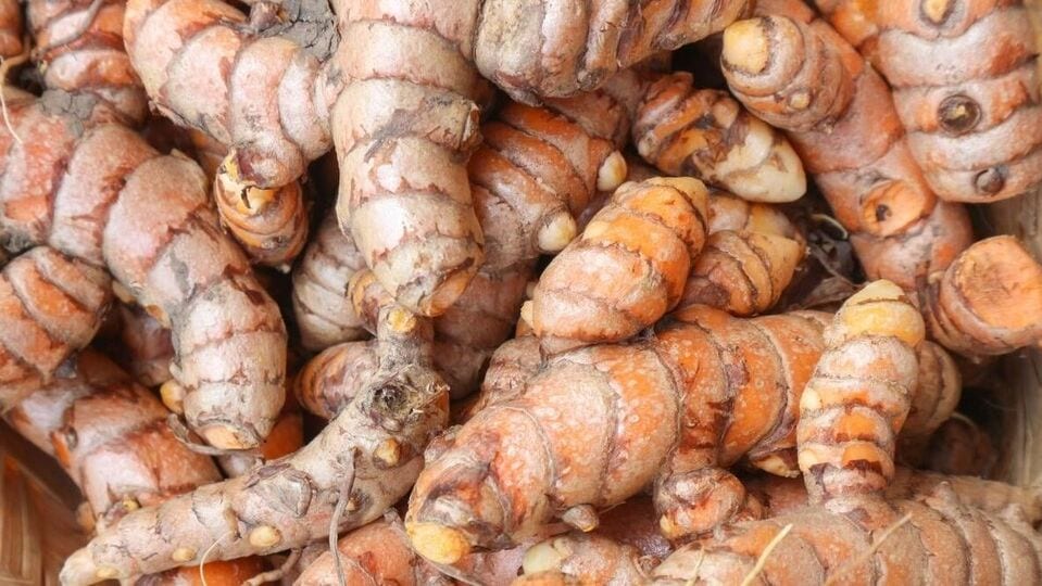 <p>పసుపు నేచురల్ యాంటీ సెప్టిక్, యాంటీ బ్యాక్టీరియల్ గా పనిచేస్తుంది. ఇది మొటిమలకు కారణమయ్యే బ్యాక్టీరియాను నాశనం చేయడానికి సహాయపడుతుంది. స్కిన్ ఇన్ఫెక్షన్స్ నివారిస్తుంది. పసుపు కోతలు లేదా చిన్న గాయాలకు చికిత్స చేయడానికి కూడా ఉపయోగిస్తారు.</p>