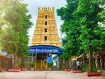 <p>ఆలయ ఈవో వెల్లడించిన ప్రకటన వివరాల ప్రకారం…. వారంలో మంగళవారం నుంచి శుక్రవారం వరకు ఈ అవకాశం ఉంటుంది. మధ్యాహ్నం 1.45 నుంచి 3.34 గంటల వరకు ఉచితంగా స్పర్శ దర్శనాన్ని అమలు చేస్తారు.</p>