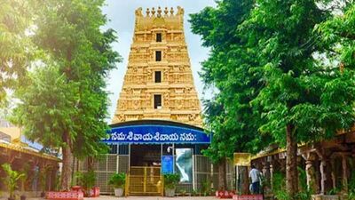 <p>ఆలయ ఈవో వెల్లడించిన ప్రకటన వివరాల ప్రకారం…. వారంలో మంగళవారం నుంచి శుక్రవారం వరకు ఈ అవకాశం ఉంటుంది. మధ్యాహ్నం 1.45 నుంచి 3.34 గంటల వరకు ఉచితంగా స్పర్శ దర్శనాన్ని అమలు చేస్తారు.</p>