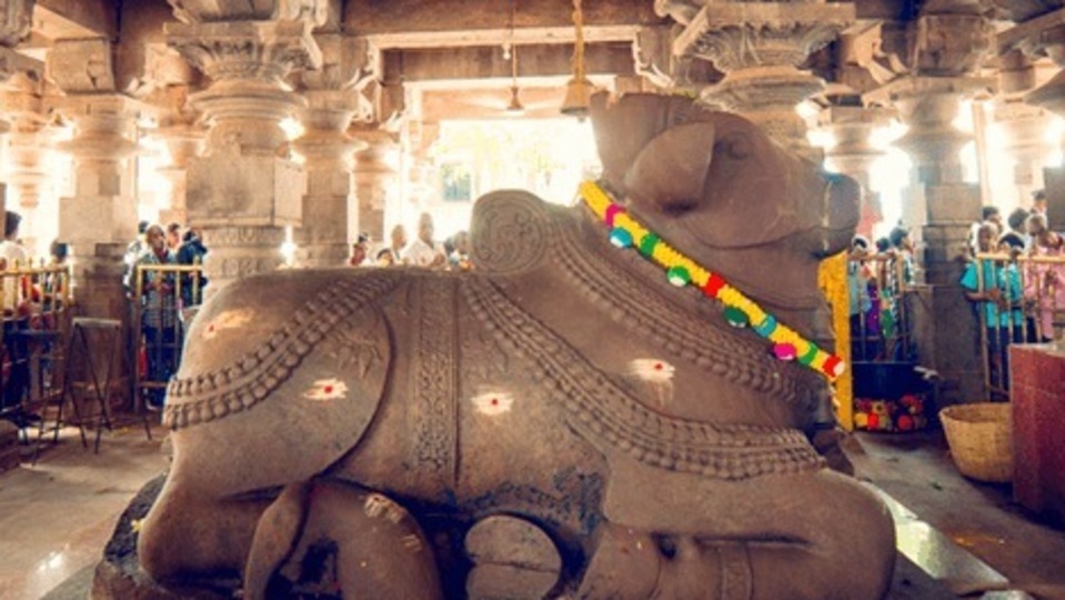 <div style="-webkit-text-stroke-width:0px;background-color:rgb(255, 255, 255);color:rgb(8, 8, 9);font-family:'Segoe UI Historic', 'Segoe UI', Helvetica, Arial, sans-serif;font-size:15px;font-style:normal;font-variant-caps:normal;font-variant-ligatures:normal;font-weight:400;letter-spacing:normal;margin:0.5em 0px 0px;orphans:2;overflow-wrap:break-word;text-align:start;text-decoration-color:initial;text-decoration-style:initial;text-decoration-thickness:initial;text-indent:0px;text-transform:none;white-space:pre-wrap;widows:2;word-spacing:0px;"><div style="font-family:inherit;text-align:start;">ఎంపిక చేసిన కొన్ని పండుగలు , మరియు ప్రభుత్వ సెలవు దినాల్లో మాత్రం ఈ స్పర్శ దర్శన సేవ ఉండదు అని దేవస్థానం వర్గాలు ప్రకటించాయి. ఇందులో మహాశివరాత్రి బ్రహ్మోత్సవాలు, ఉగాది, దసరా ఉత్సవాలు, శ్రావణ, కార్తిక మాసాలతోపాటు ప్రభుత్వ సెలవు దినాలు ఉన్నాయి.</div></div>