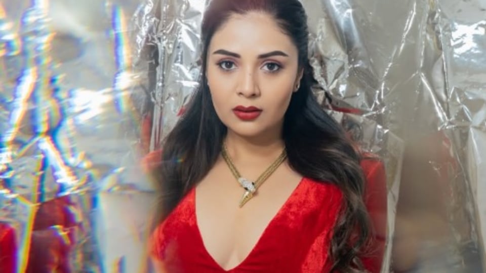 <p>తెలుగులో కొన్ని సినిమాల్లోనూ కనిపించింది శ్రీముఖి. జులాయి, లైఫ్ ఈజ్ బ్యూటిఫుల్, చంద్రిక, నేను శైలజ, క్రేజీ అంకుల్స్, భోళా శంకర్ తదితర సినిమాల్లో నటించింది. </p>(instagram-sreemukhi)