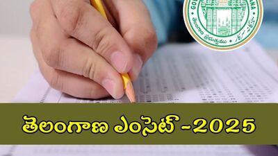 <p>ఈ విద్యా సంవత్సరం(2025-26) ఇంజినీరింగ్ విద్యకు పాత ఫీజులే ఉంటాయని తెలంగాణ సర్కార్ స్పష్టం చేసింది. ఈ మేరకు సోమవారం ఉత్తర్వులను జారీ చేసింది. </p> <p>ఈ విద్యా సంవత్సరం(2025-26) ఇంజినీరింగ్ విద్యకు పాత ఫీజులే ఉంటాయని తెలంగాణ సర్కార్ స్పష్టం చేసింది. ఈ మేరకు సోమవారం ఉత్తర్వులను జారీ చేసింది. </p>