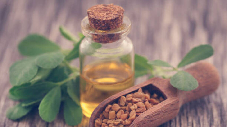 <p>జుట్టు పొడిబారడాన్ని తగ్గించడానికి కొబ్బరి నూనె, మెంతి గింజలతో తయారు చేసిన ఈ నూనెను తలకు పూయవచ్చు. ఇది తలకు పోషణనిస్తుంది. జుట్టుకు పోషణ లభించడంతో అది మృదువుగా, పట్టులా మారుతుంది. జుట్టు బలం కూడా పెరుగుతుంది.</p>