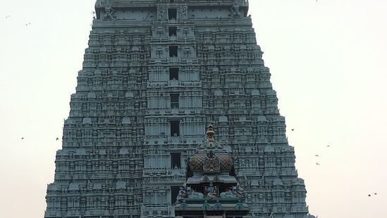 ఈ ప్యాకేజీల్లో భాగంగా షరతులు వర్తిస్తాయని టీజీఎస్ఆర్టీసీ అధికారులు చెబుతున్నారు. అధికారులు సూచించిన ఫోన్ నెంబర్లను సంప్రదించి పూర్తి వివరాలను తెలుసుకోవచ్చు.ఆపై బుకింగ్ చేసుకోవచ్చు. 