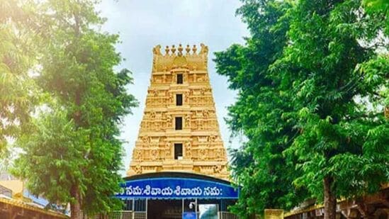 అయితే భక్తుల రద్దీతో పాటు ఇతర కారణాల రీత్యా అధికారులు కీలక నిర్ణయం తీసుకున్నారు. ఉచిత స్పర్శ దర్శనానికి ఇక నుంచి ఆన్‌లైన్‌ ద్వారా టోకెన్లు జారీ చేస్తున్నట్లు ఆలయ ఈవో ఎం.శ్రీనివాసరావు శుక్రవారం ప్రకటించారు. దీంతో స్పర్శ దర్శనం కోసం ఆన్ లైన్ ద్వారా టోకెన్లు తీసుకోవాల్సి ఉంటుంది.