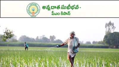 <p>రైతులకు పంట పెట్టుబడి సహాయం అందించేందుకు ఏపీ ప్రభుత్వం అన్నదాత సుఖీభవ పథకాన్ని తీసుకువచ్చింది. ఈ స్కీమ్ ద్వారా రైతులకు ఏటా రూ.20 వేలు పెట్టుబడి సాయంగా అందించనుంది. మొత్తం 3 విడతల్లో డబ్బులను జమ చేస్తారు. ఇందులో కేంద్రం వాటాగా పీఎం కిసాన్ నిధులు కూడా ఉంటాయి.</p> <p>రైతులకు పంట పెట్టుబడి సహాయం అందించేందుకు ఏపీ ప్రభుత్వం అన్నదాత సుఖీభవ పథకాన్ని తీసుకువచ్చింది. ఈ స్కీమ్ ద్వారా రైతులకు ఏటా రూ.20 వేలు పెట్టుబడి సాయంగా అందించనుంది. మొత్తం 3 విడతల్లో డబ్బులను జమ చేస్తారు. ఇందులో కేంద్రం వాటాగా పీఎం కిసాన్ నిధులు కూడా ఉంటాయి.</p>