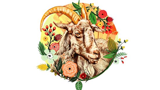 మకరం: మీ భావాలను నిజాయితీగా మీ భాగస్వామికి తెలియజేయండి. అవివాహితులు కొత్త వ్యక్తులను కలవడానికి సిద్ధంగా ఉండాలి. కొత్త పనులు ప్రారంభించడానికి ఈ రోజు అనుకూలంగా ఉంటుంది. సంభాషణ ద్వారా సంబంధంలో అపార్థాలను తొలగించండి. ప్రశాంతంగా ఉండండి మరియు తొందరపడి ఎటువంటి నిర్ణయం తీసుకోకండి.