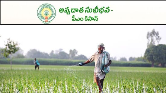 రైతులకు పంట పెట్టుబడి సహాయం అందించేందుకు ఏపీ ప్రభుత్వం అన్నదాత సుఖీభవ పథకాన్ని తీసుకువచ్చింది. ఈ స్కీమ్ ద్వారా రైతులకు ఏటా రూ.20 వేలు పెట్టుబడి సాయంగా అందించనుంది. మొత్తం 3 విడతల్లో డబ్బులను జమ చేస్తారు. ఇందులో కేంద్రం వాటాగా పీఎం కిసాన్ నిధులు కూడా ఉంటాయి.