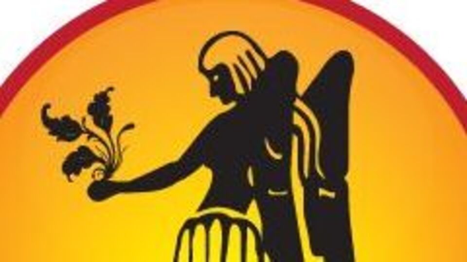 <p>కన్యా రాశి: కన్యా రాశి వారికి గురువు నక్షత్ర సంచారం బాగుంటుంది. విద్య, పిల్లలు, క్రియేటివిటీ పై ప్రభావం పడుతుంది. ఈ సమయంలో ఈ రాశి విద్యార్థులు పరీక్షల్లో ఉత్తీర్ణులవుతారు. ప్రేమ జీవితం మధురంగా మారుతుంది. ఇన్వెస్ట్మెంట్ చేసిన వారికి లాభాలు ఎక్కువగా ఉంటాయి.</p>(pinterest)