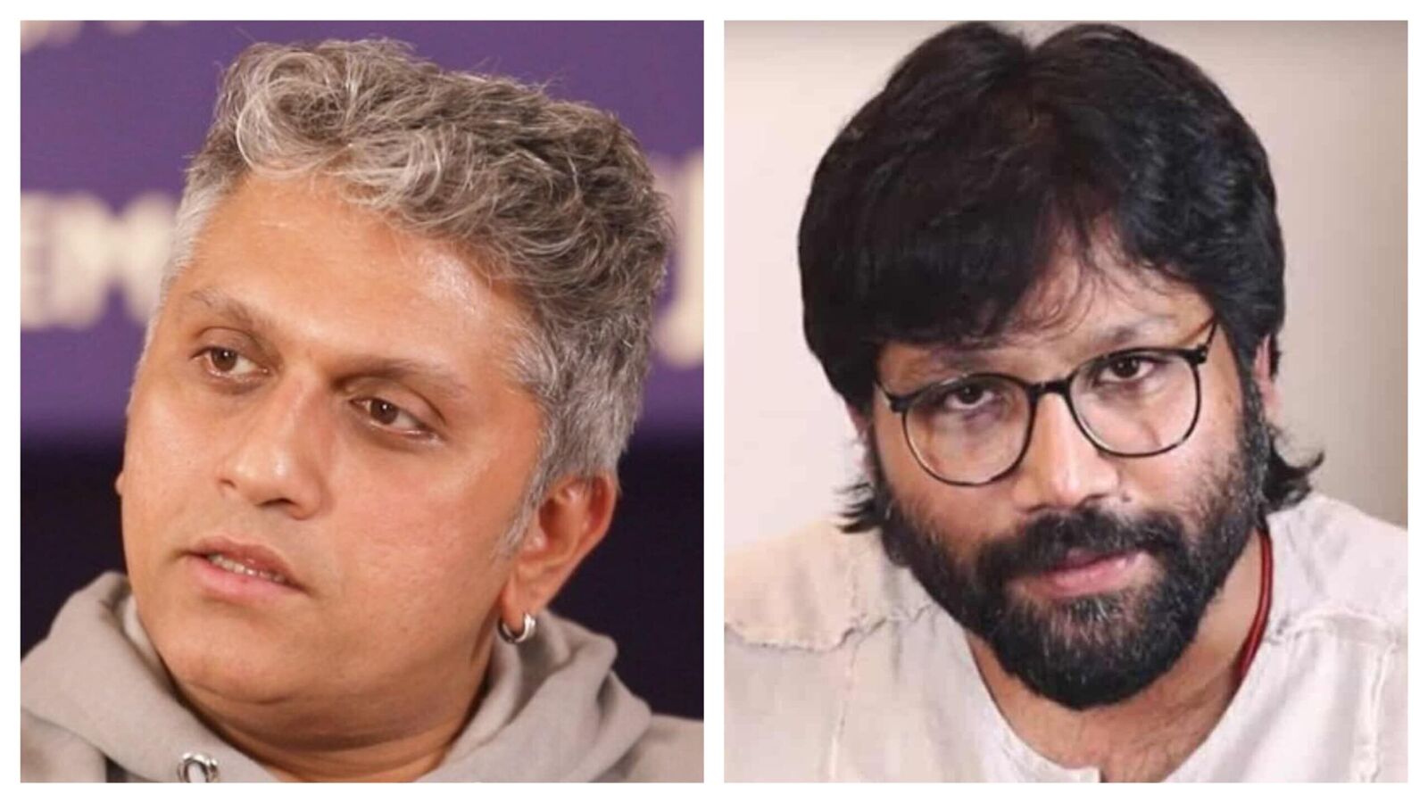 సందీప్ రెడ్డి వంగాకు నేను అభిమానిని.. యానిమల్ నాకు నచ్చింది: బాలీవుడ్ డైరెక్టర్ కామెంట్స్