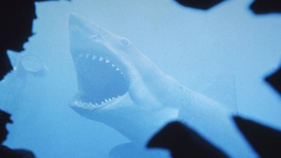 జాస్ - 1975లో విడుదలైన జాస్ (Jaws) మూవీ ఈ జాబితాలో 9వ స్థానంలో నిలిచింది. ఈ సినిమా మూడు ఆస్కార్ లను గెలుచుకుంది. ఈ సినిమాకు ఐఎండీబీ రేటింగ్ 8.1గా ఉంది.