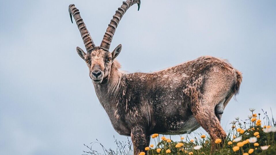 <p>మకర రాశి: మకర రాశి వారికి శుక్రుడి నక్షత్రం మార్పుతో శుభ ఫలితాలు ఎదురవుతాయి. ఈ సమయంలో ఈ రాశి వారికి ఆర్థిక ఇబ్బందులు తొలగిపోతాయి. ఇన్వెస్ట్మెంట్ చేసే వారికి కలిసి వస్తుంది. ఆదాయం పెరుగుతుంది. డబ్బును బాగా ఆదా చేస్తారు. ఆరోగ్యం కూడా బాగుంటుంది.<br> </p>