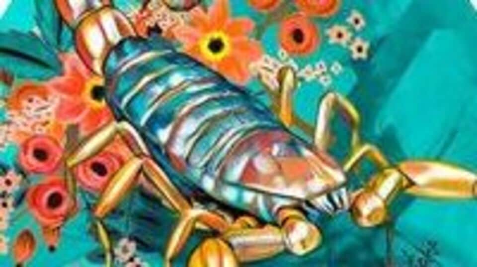 <p>వృశ్చిక రాశి: ఈ రాశి వారికి ఆకస్మిక ధనలాభం కలిగే అవకాశం ఉంది. ఆర్థిక సమస్యలు తీరిపోతాయి, చేసే ప్రయత్నానికి తగ్గట్టుగా ఫలితం ఉంటుంది. అనేక మార్గాల్లో ఆదాయాన్ని పొందుతారు.</p>