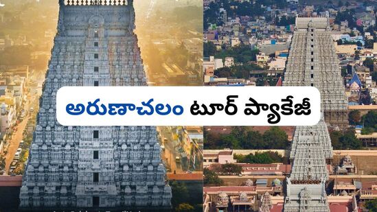 ఆగస్ట్ 1వ తేదీన మిస్ అయితే మళ్లీ మరో తేదీలో ప్లాన్ చేసుకోవచ్చు. అందుకు అనుగుణంగా టికెట్లను ముందుగానే బుకింగ్ చేసుకోవచ్చు. https://tourism.telangana.gov.in/tours వెబ్ సైట్ లోకి వెళ్లి అప్డేట్ తెలుసుకోవచ్చు.