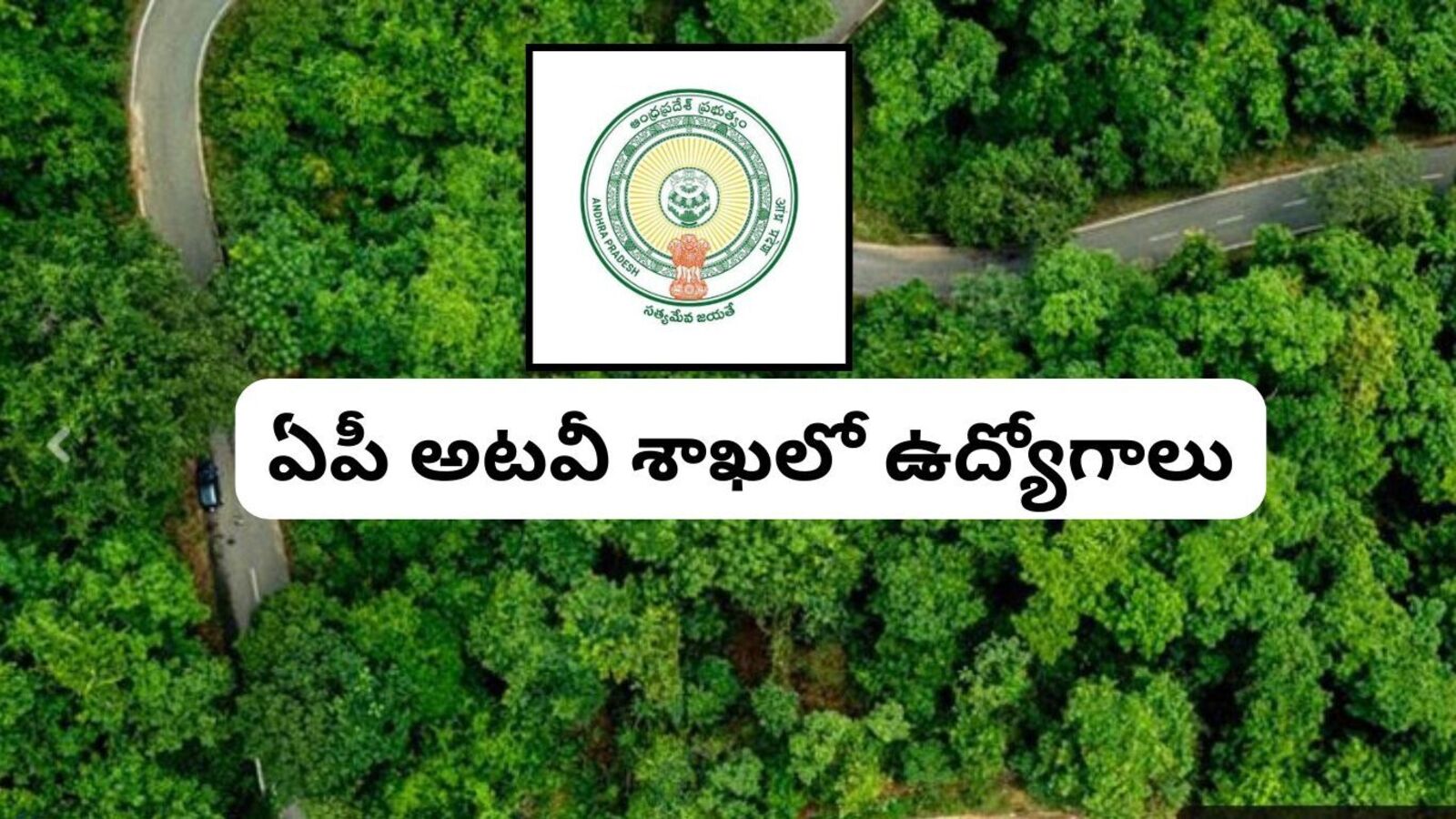 ఏపీ అటవీ శాఖలో సెక్షన్ ఆఫీసర్ ఉద్యోగాలు - అప్లికేషన్లు ప్రారంభం, ప్రాసెస్ ఇలా