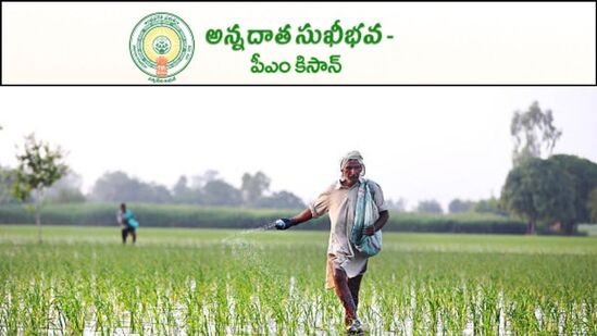 ఈ నిధుల కోసం చాలా రోజులుగా ఏపీ అన్నదాతలు ఎదురుచూస్తున్నారు. అయితే పీఎం కిసాన్ నిధులు ఎప్పుడు విడదలైతే అదే రోజు సుఖీభవ స్కీమ్ డబ్బులను కలిపి రైతుల ఖాతాల్లో జమ చేస్తామని ప్రభుత్వం ప్రకటన చేసింది. అయితే పీఎం కిసాన్ నిధులు విడుదలకు ఆగస్ట్ 2వ తేదీని ముహుర్తంగా ఫిక్స్ చేశారు. 