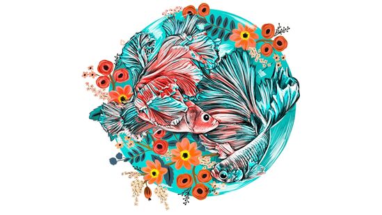 మీన రాశి: కొత్త ఉత్సాహంతో కెరీర్‌ను నిర్మించుకోండి. నెట్ వర్క్‌లను నిర్మించండి. మీ నైపుణ్యాలను ప్రదర్శించండి. అలాగే, ప్రాజెక్టులపై చొరవ తీసుకోవడానికి భయపడవద్దు. మీ వ్యవస్థాపక నైతిక స్థైర్యం గణనీయంగా పెరుగుతుంది.  (నోట్: ఈ సమాచారం వారి వారి సమ్మతిపై ఆధారపడి ఉంటుంది. హిందుస్తాన్ టైమ్స్ తెలుగు దీని ప్రామాణికతను కచ్చితంగా ధృవీకరించదు.)