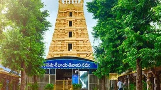 శ్రీశైలం ట్రిప్ ప్లాన్ ఉందా..? అయితే మీకోసం తెలంగాణ టూరిజం కొత్త ప్యాకేజీని తీసుకొచ్చింది. హైదరాబాద్ నుంచి ఆపరేట్ చేయనుంది. DAILY SRISAILAM TOUR పేరుతో టూర్ ప్యాకేజీ అందుబాటులో ఉంటుంది. 