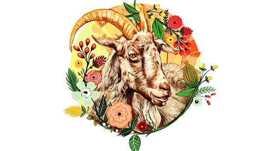 మకరం: ఈ రాశి వారికి ఒడిదుడుకులు తప్పవు. విద్యాపరమైన పనుల్లో విజయం సాధిస్తారు. తెలివైన పని ఆదాయ వనరును సృష్టిస్తుంది. వ్యాపారంలో లాభం పెరుగుతుంది. స్నేహితుల సహాయంతో ఆదాయం పెరుగుతుంది.