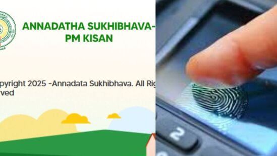 ప్రకాశం జిల్లా దర్శి మండలం వీరాయపాలెంలో ఈ పథకాన్ని ముఖ్యమంత్రి నారా చంద్రబాబు నాయుడు ప్రారంభించనున్నారు. దీంతో రాష్ట్రంలోని 46,85,838 మంది రైతులు లబ్ది పొందుతారు. మొదటి విడతలో రాష్ట్ర వాటాగా ఒక్కో రైతుకు రూ.5,000 చొప్పున మొత్తం రూ.2,342.92 కోట్ల నిధుల్ని వారి ఖాతాలో ప్రభుత్వం నేరుగా జమ చేయనుంది. 