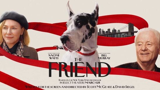 ది ఫ్రెండ్ ఓటీటీ- కామెడీ, డ్రామాగా తెరకెక్కిన సినిమా ది ఫ్రెండ్ సెప్టెంబర్ 28న జియో హాట్స్టార్లో ఓటీటీ ప్రీమియర్ కానుంది. ఇలా 8 సినిమాల్లో తెలుగులో 2 రిలీజ్ కానుండగా నాలుగు మూవీస్ ఒక్క జియో హాట్స్టార్లోనే స్ట్రీమింగ్ అవనున్నాయి. ది ఫ్రెండ్ ఓటీటీ- కామెడీ, డ్రామాగా తెరకెక్కిన సినిమా ది ఫ్రెండ్ సెప్టెంబర్ 28న జియో హాట్స్టార్లో ఓటీటీ ప్రీమియర్ కానుంది. ఇలా 8 సినిమాల్లో తెలుగులో 2 రిలీజ్ కానుండగా నాలుగు మూవీస్ ఒక్క జియో హాట్స్టార్లోనే స్ట్రీమింగ్ అవనున్నాయి.