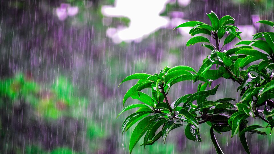 రెయిన్ అలర్ట్.. దూసుకొస్తున్న వాయుగుండం.. ఏపీ, తెలంగాణలో వర్షాలు!