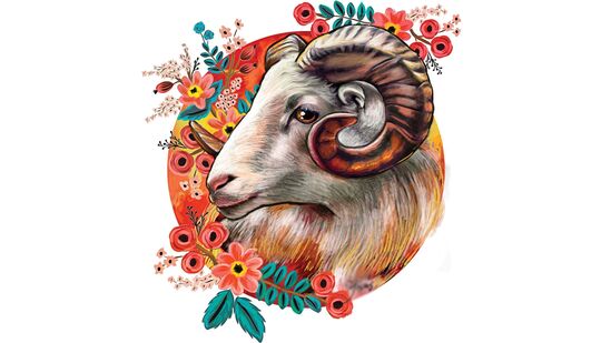 మేషరాశి: ఈ రోజు మీరు బలంగా, ఆత్మవిశ్వాసంతో ఉంటారు. మీ డబ్బును తెలివిగా నిర్వహించుకోండి. ఏదైనా సమస్యను తేలికగా పరిష్కరించే సామర్థ్యం మీకు ఉందని గుర్తుంచుకోండి. మీకు అవసరమైతే సహాయం అడగడానికి భయపడకండి.