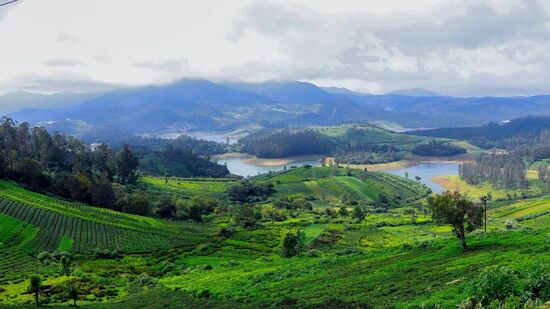 2వరోజు మార్నింగ్ 7:57కి కోయంబత్తూరు రైల్వే స్టేషన్ చేరుకుంటారు. అక్కడ నుంచి ఊటీకి వెళ్లాలి. హోటల్‌లో చెక్ ఇన్ అవుతారు. మధ్యాహ్నం బొటానికల్ గార్డెన్స్, ఊటీ లేక్ అందాలను విజిట్ చేస్తారు. రాత్రి హోటల్‌లో బస చేస్తారు.మూడో రోజు మార్నింగ్ లేచి బ్రేక్ ఫాస్ట్ తర్వాత దొడబెట్ట పీక్‌కు వెళ్తారు. టీ మ్యూజీయం, పైకారా వాటర్ ఫాల్స్ చూస్తారు. ఊటీలోనే నైట్ స్టే ఉంటుంది.