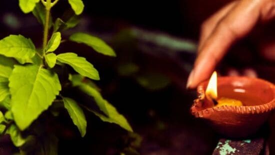 తులసి ఆరాధన - హిందూ మతంలో, తులసిని మొక్క కాదు, దేవతగా పరిగణిస్తారు. వీరి ఆరాధన ఆనందాన్ని, అదృష్టాన్ని తెస్తుంది. కార్తీక మాసంలో సాయంత్రం తులసి ముందు దీపం వెలిగించండి